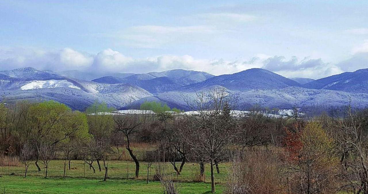 Pensiunea Casa Moga Bucsum Kültér fotó